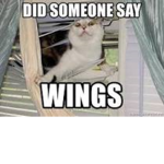 The Winged Cats