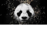 diet_panda