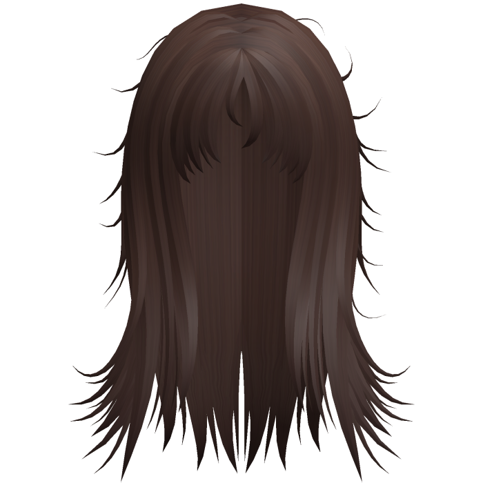 Long Shaggy Layered Hair (Brown)
