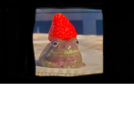 The aesthetic froggy