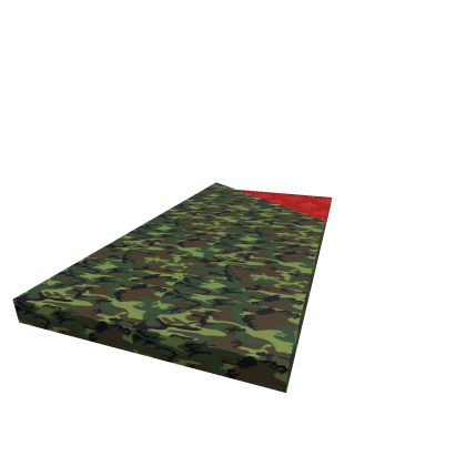 Sleeping Bag