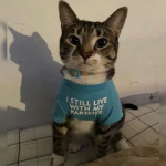 Katmmunity