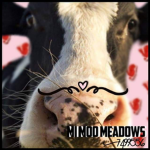Ｍｉ Ｍｏｏ Ｍｅａｄｏｗｓ