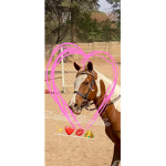 Horse Army! <3