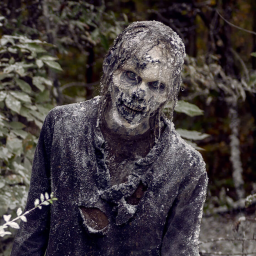 survive the zombie