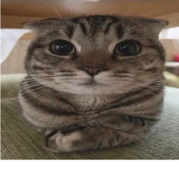//