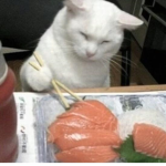 fish soops
