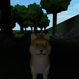 [New!]Wolf/Doge Roleplay!