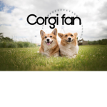 Corgi fan club official