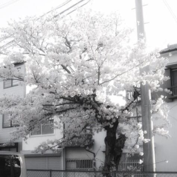 ⸙