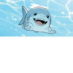 sharkz only