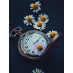 Bloomcave