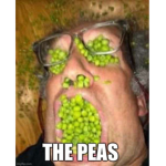 Evesberxy