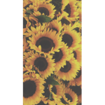 CalisGarden!