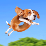 Beagle Games