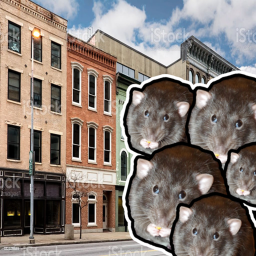 Rat Town