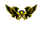 Robloxian Infantry Association