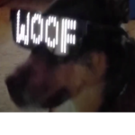 poopoowee
