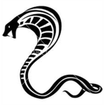 The Shadow Cobras