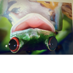 Fun Time Frogs