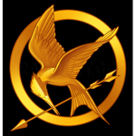 Hunger Games fan chat
