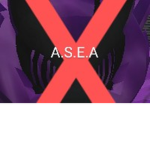 A.S.E.Ag