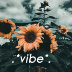 .*vibe*.