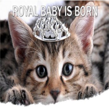 Try 'n Buy *Remaking*