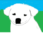this is a good doggo