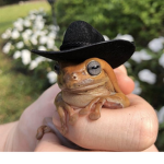 epic frog fan group