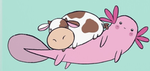 Axolotl/highland cow fan club