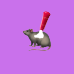The Rat Sunscreen Group