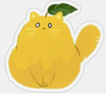 Mizo's lemons