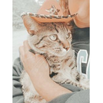 Kittycathile Fan squad