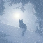2006, snow Group Thumbnail