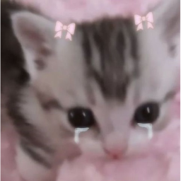 ୨୧