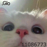 .Glo