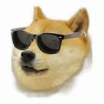 Crew Doge