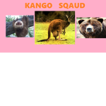 KANGO SQAUD