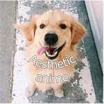 ~*aesthetic anime*~