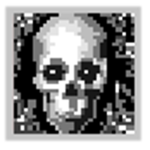 Crypto Skulls