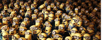 MINIONS CORPORATION!!!!!!!!!!!!!!!!!!!!!!!!!!!!!!!