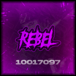 开 Rebel