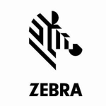ZEBRA TAXI CAB COMPANY LTD