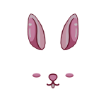 Bunny Face Filter