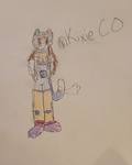 ~Calico's Little Paws~