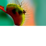 0222