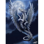 Silver Dragons fans