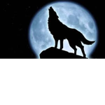Black Wolf - Anti-Cyberbullying Team