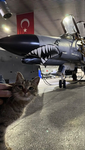 Konya Etliekmek ve F-4E Phantom Sevenler Birliği